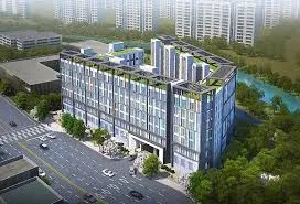 전세사기 다시 제동걸린 "실거주의무 폐지" 어쩌나