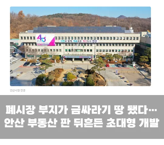 폐시장 부지가 금싸라기 땅 됐다…안산 부동산 판 뒤흔든 초대형 개발