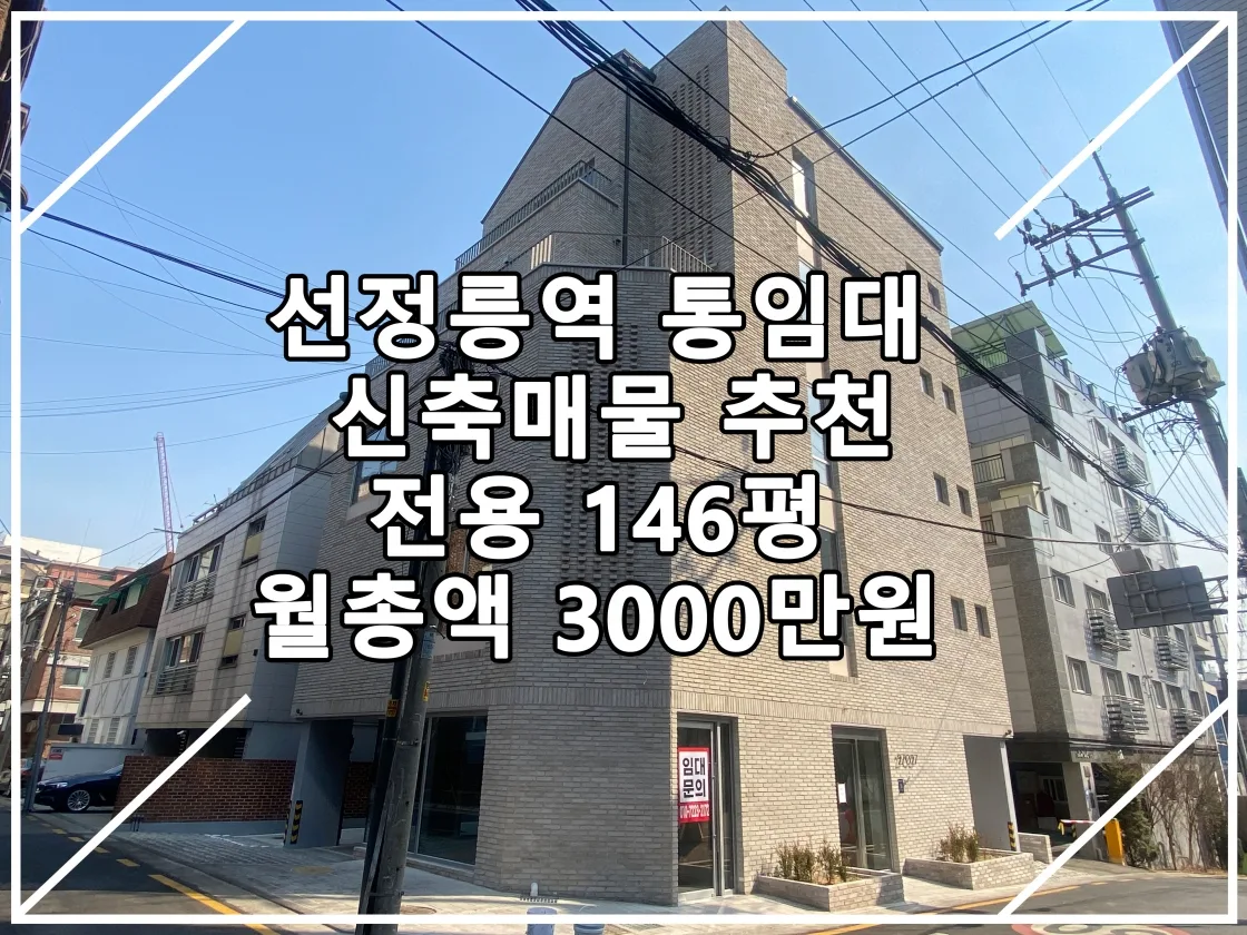 [23.02.24 실매물] 선정릉역 146평 통임대 신축매물 추천
